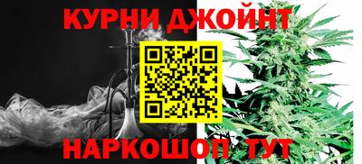 сатива Бузулук