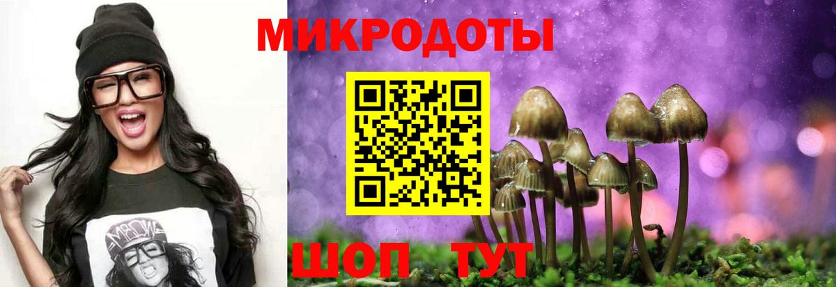 Туймазы  Галлюциногенные грибы Cubensis  Вход с VPN  Псилоцибиновые грибы ЛСД 